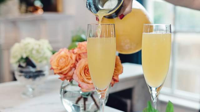 Mimosa