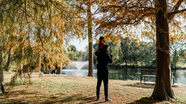 Audubon Park