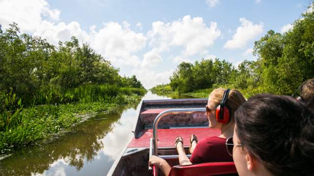 Jean Lafitte Swamp Tour