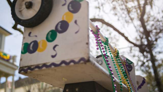 Family Mardi Gras- Krewe of Femme Fatale