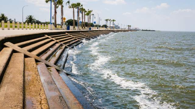 Lakeshore Drive