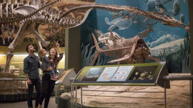 hall-of-ancient-life