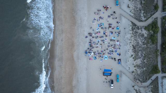 Movies on the Beach