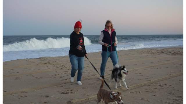 winter beach walk with dogs