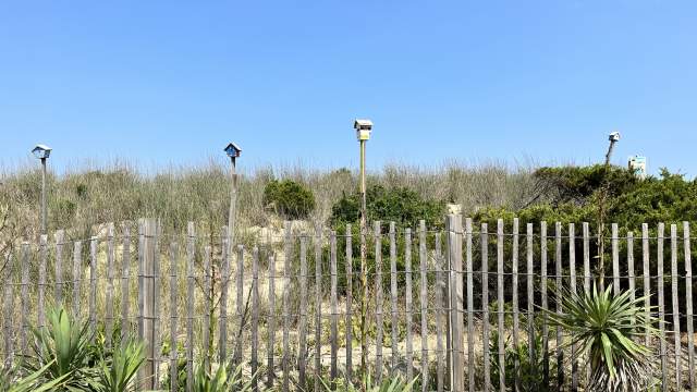 123rd Street Beach Entrances in Ocean City, MD