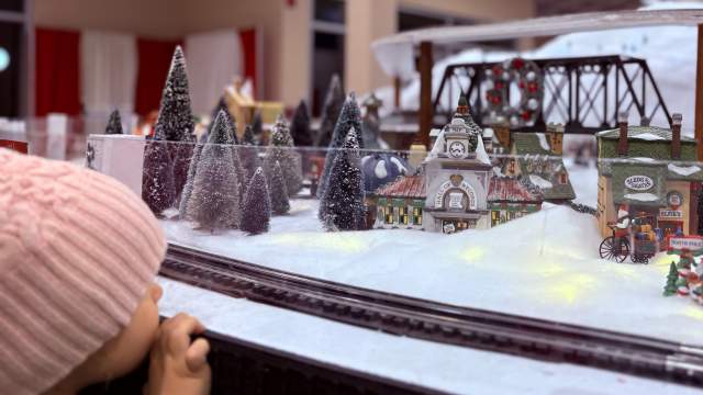 Train Garden Display