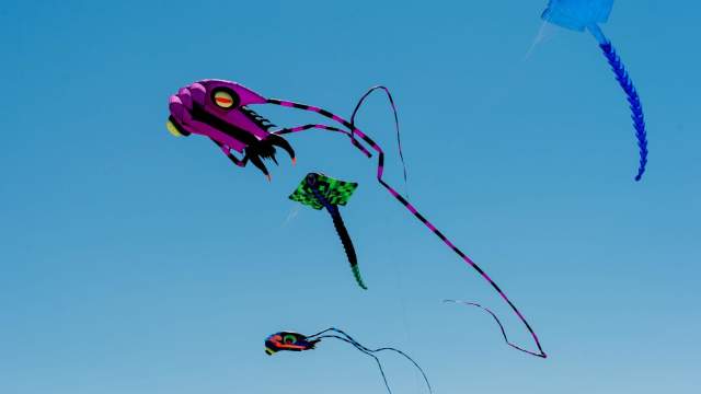 Kites