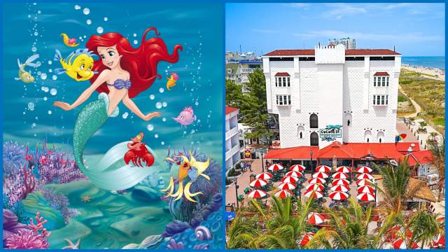 Ariel x Coconuts