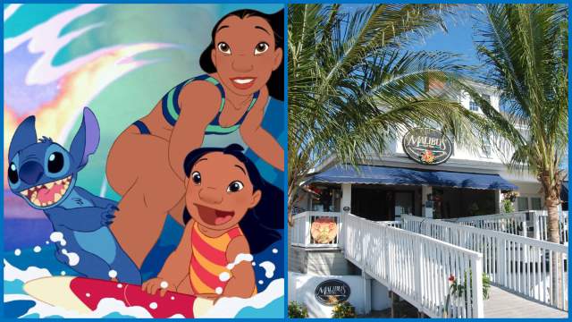 Lilo x Malibu's Surf Shop