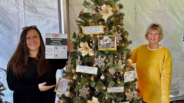 trees for the arts