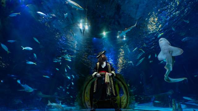 Captain Sebastian welcomes visitors to Pirates of the Haunted Seas at SEA Life Orlando