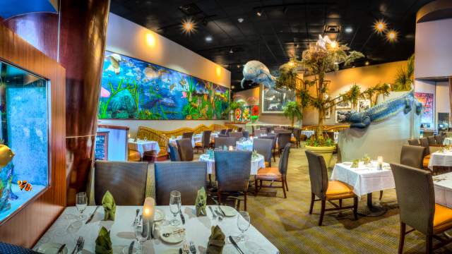 Elegant dining area with aquatic-themed decor, featuring large fish tanks and lush greenery, creating an immersive atmosphere at The Everglades Restaurant.