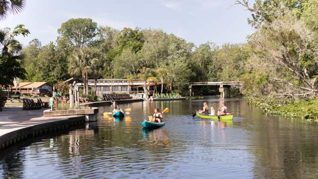 201539 - Wekiva Island