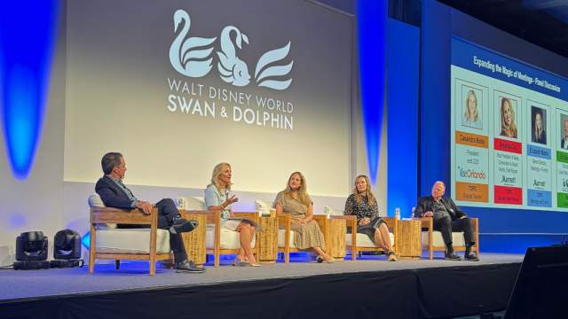 tm-wdw-swaan-dolphin-panel-cmatej-2025