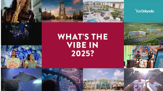 tm-whats-the-vibe-screenshot-2025