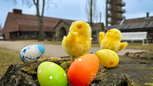 Påskekyllinger og påskeegg utenfor Borgarsyssel museum