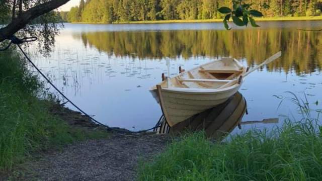 Tretopphytter på Grensen