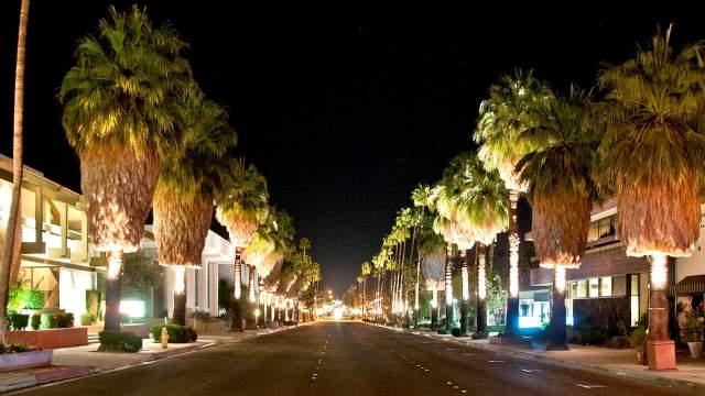 palm canyon drive night