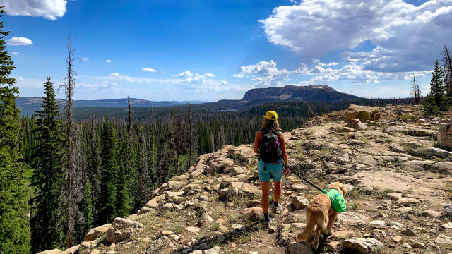 Dog Friendly Hikes in Park City Hiking Trails Dog Parks
