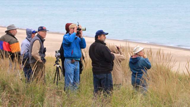 A group of people birding in the Dunes