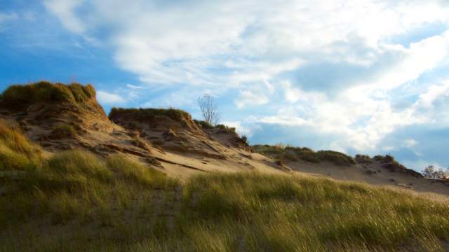 The dunes against the sky