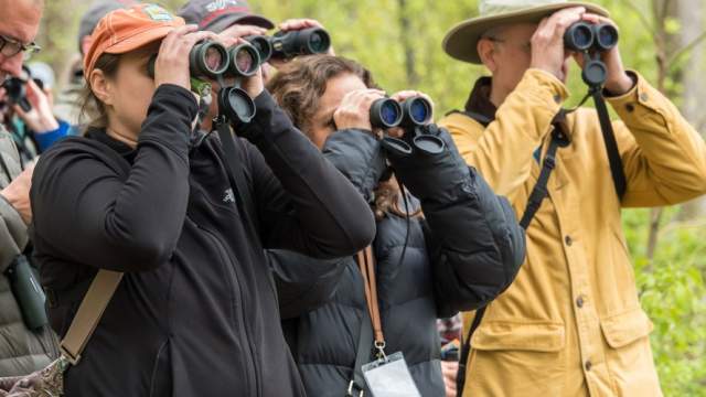 Birders at Cowles Bog