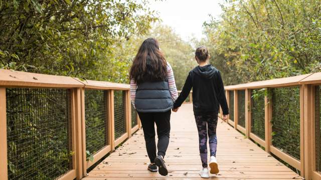 Springbrook Boardwalk at the Black River Riparian Forest