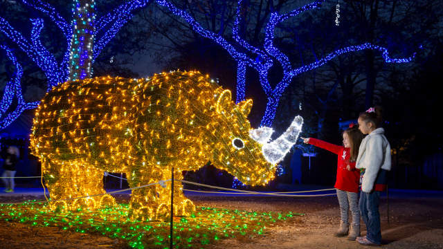 Children pointing at artificial holiday rhino adorned with lights
