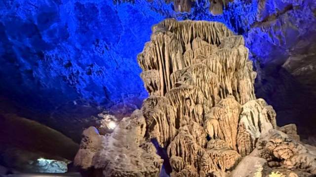 picture from inside Woodward Cave featuring a Giant Formation