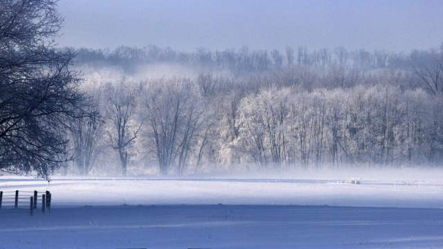 A snowy field in the morning