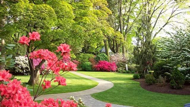 keithan bluebird garden path