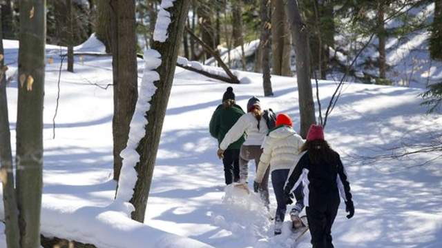 Group of people snowshoeing through snowy forest.