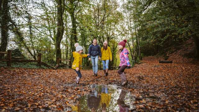 A family walking through Penllegare woods