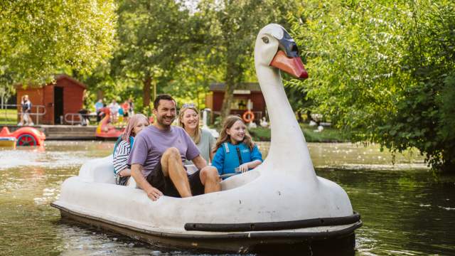 Family riding a swan pedalo in singleton park