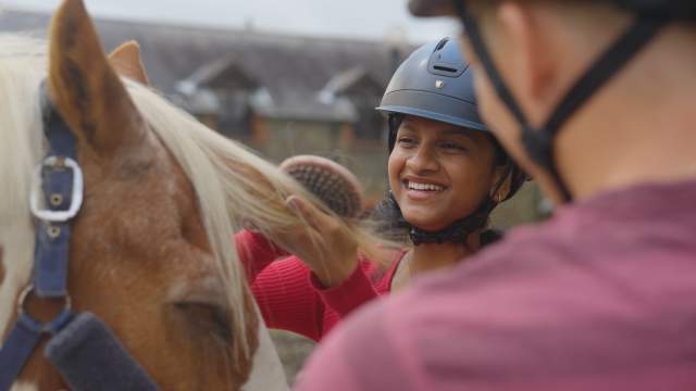 A lady brushing a horse's hair