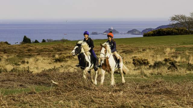 People horse riding at Clyne Farms