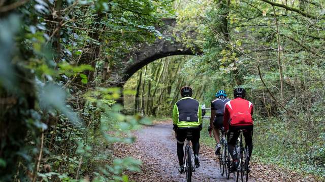 Three cyclists, cycling away from the camera, on a bike path surrounded by trees.