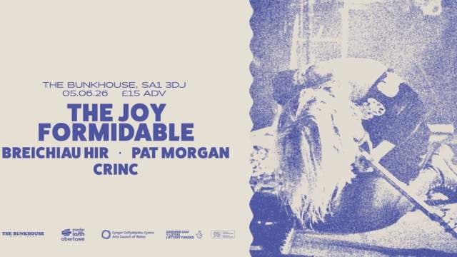 Gwyl tawe event - Welsh-language culture