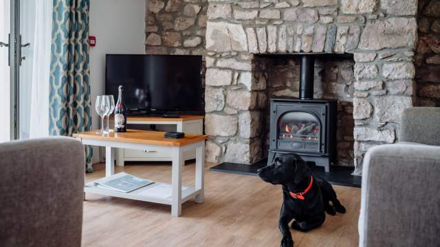 A dog by a log burner.