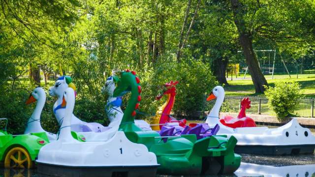 Singleton Boating Lake