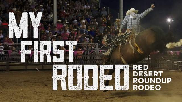 Wild West Dreams: Heart-Pumping Action at the Red Desert Roundup