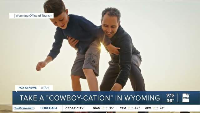 Cowboy cation Segment