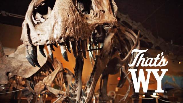 Paleontology in Wyoming - That's WY