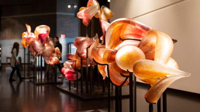 Fort Wayne Museum of Art