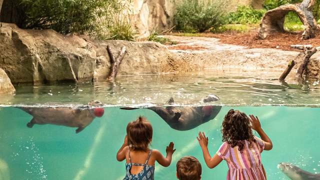 Fort Wayne Zoo