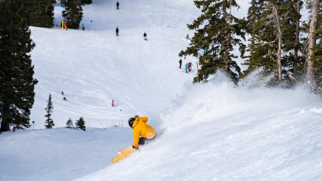 Skier going down a run at Snowbird Resort