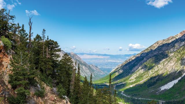 View from the mountains down a canyon into the Salt Lake valley