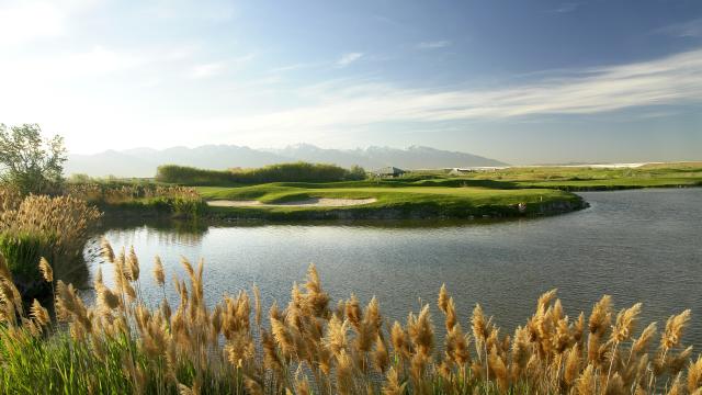 8green Golf Header Photo