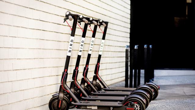 Bird Scooters Parked in a Row