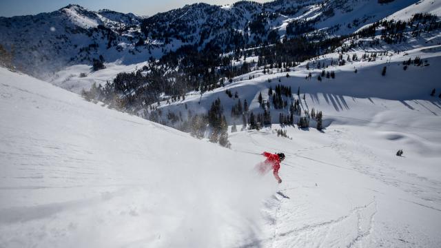 Skier at Alta Ski Resort